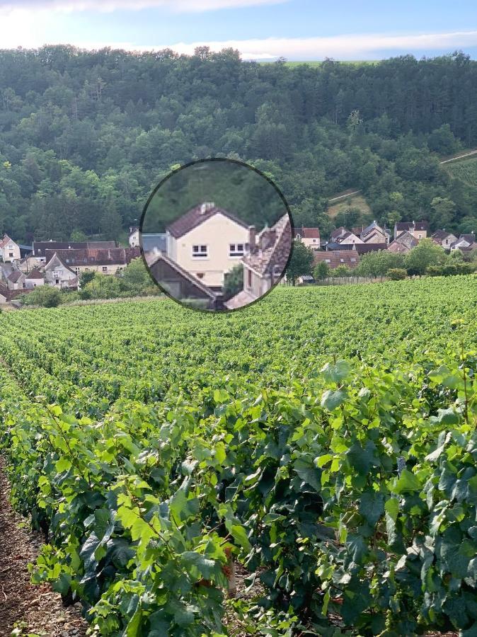 Maison De Campagne Entre Vigne Et Bois Chablis Buitenkant foto