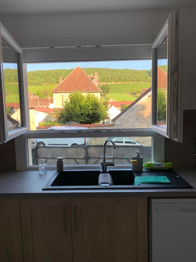 Maison De Campagne Entre Vigne Et Bois Chablis Buitenkant foto