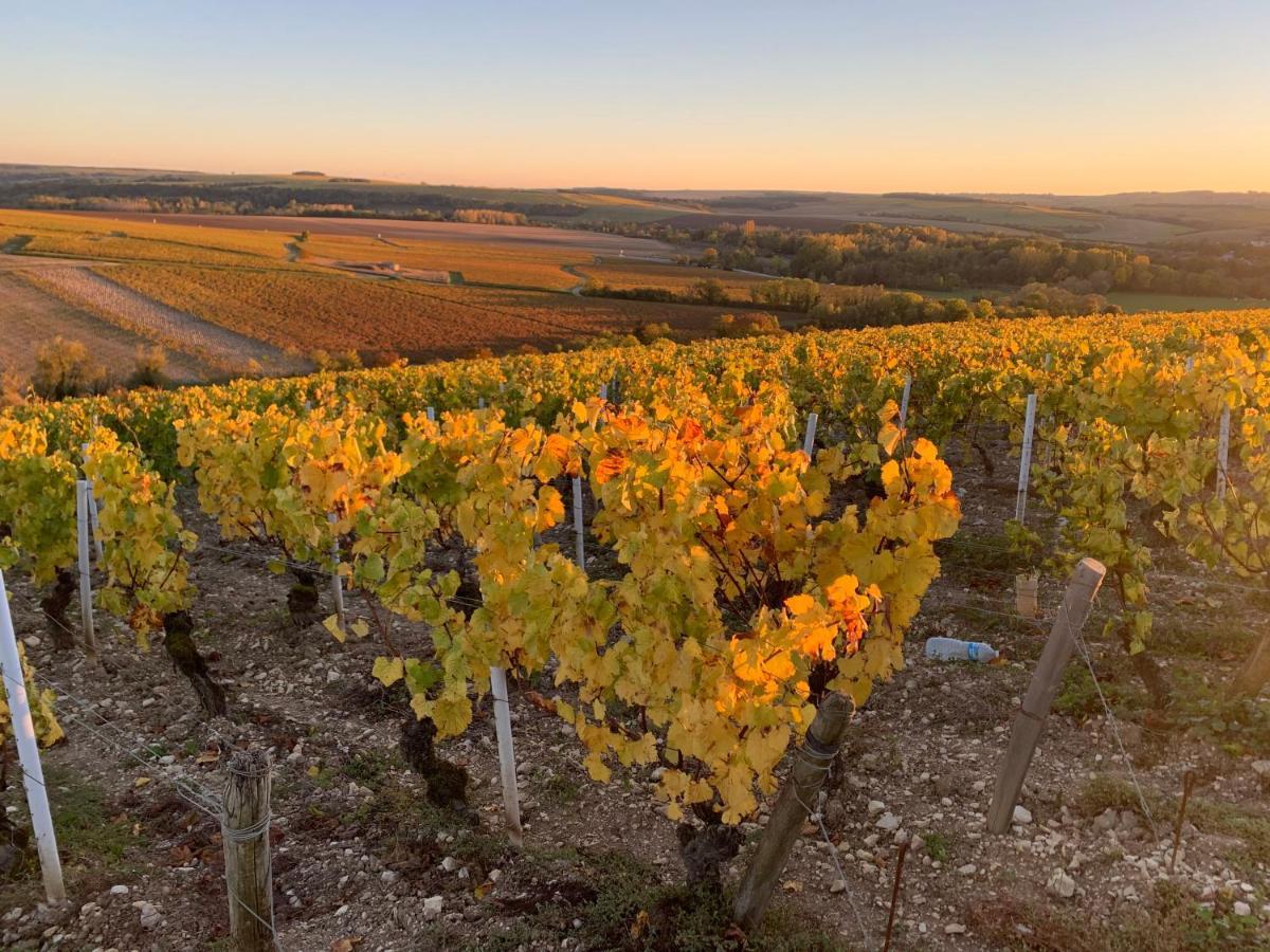 Maison De Campagne Entre Vigne Et Bois Chablis Buitenkant foto